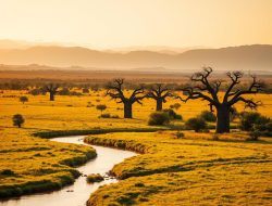 Jelajahi Keindahan Alam Botswana: Panduan Wisata