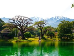 Pesona Wisata Brunei Darussalam: Jelajahi Keindahan Negara Ini