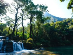 Jelajahi Pesona Alam Kosta Rika – Destinasi Wisata Terbaik