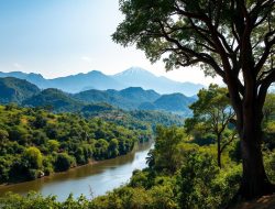 Wisata Togo: Nikmati Keindahan Alam yang Memukau